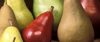 Pear Cider
