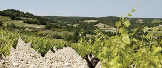 French Wine - Glengarry Wine