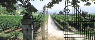 Italian Wine - Glengarry Wine