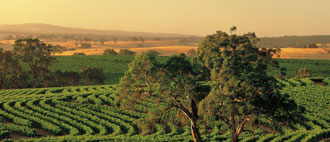 Australian Wine - Glengarry Wine