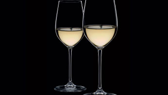 Riedel Vinum Sauvignon Blanc / Two Glasses